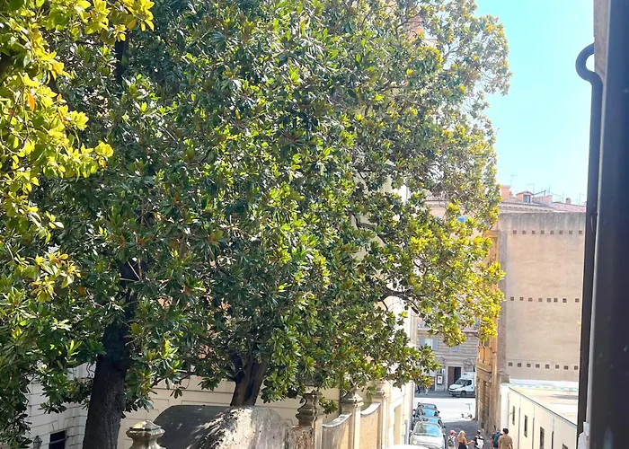 Cimatori Boutique Roma